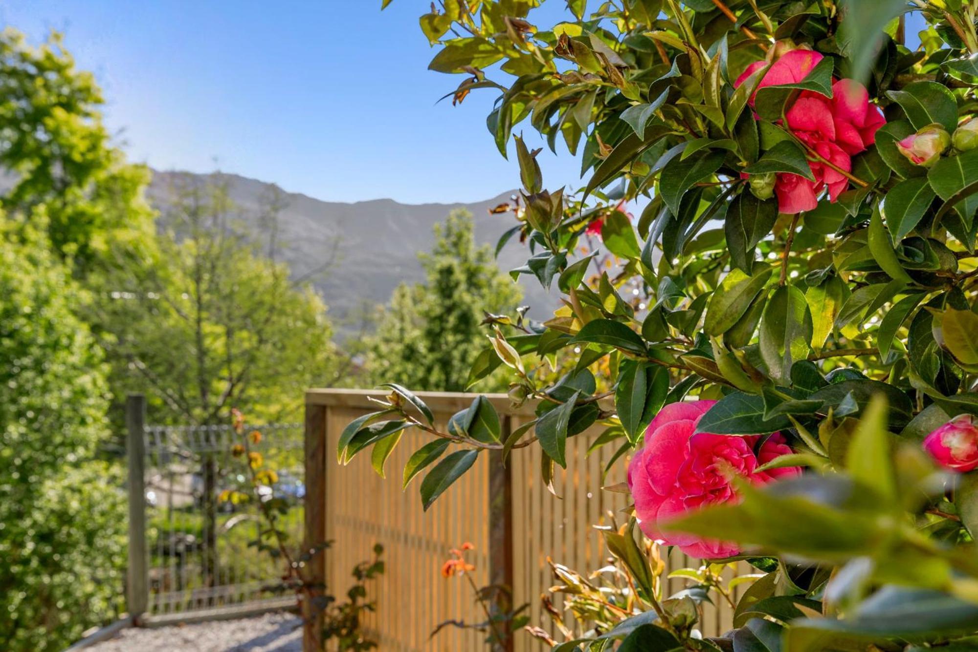 Asure Brookvale Motel Wanaka Buitenkant foto